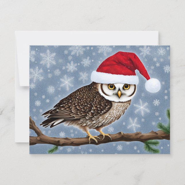 Un búho Navidad de fondo azul (Anverso)