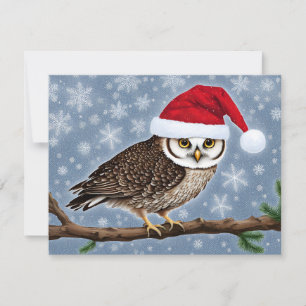Un búho Navidad de fondo azul