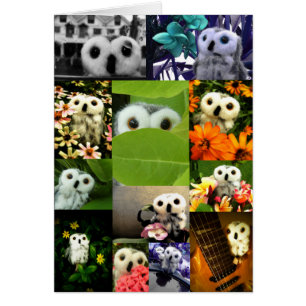 Un búho nombrado Ofelia