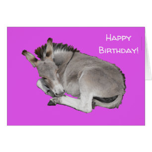 Un burro corto en morado