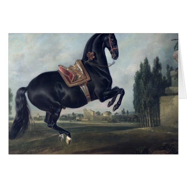 Un caballo negro que realiza el Courbette (Anverso (Horizontal))