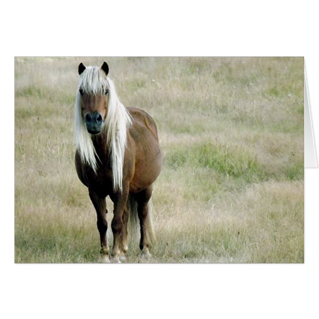 Un caballo, por supuesto. (Anverso (Horizontal))