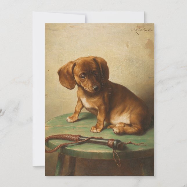 Un cachorro de Dachshund | Carl Reichert (Anverso)