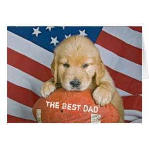 Un cachorro de Golden Retriever en el fútbol para
