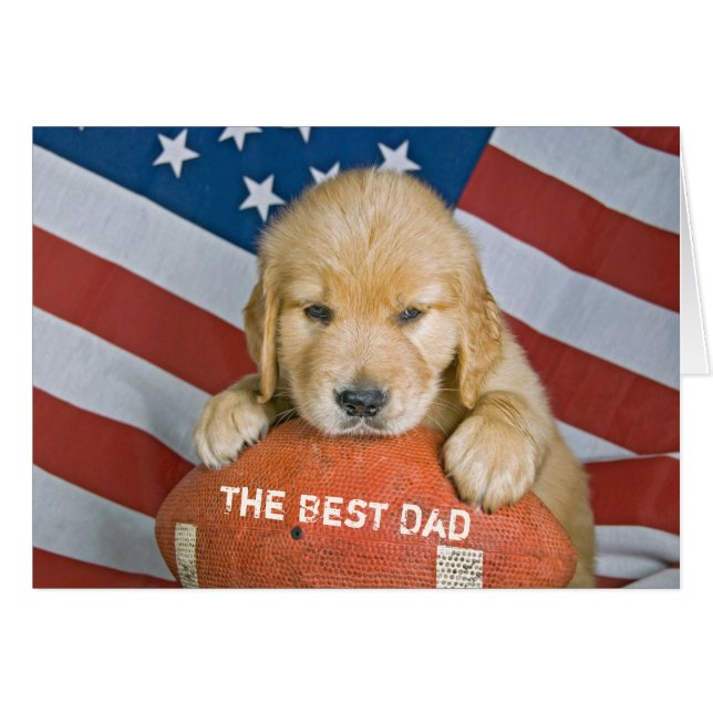 Un cachorro de Golden Retriever en el fútbol para  (Anverso (Horizontal))