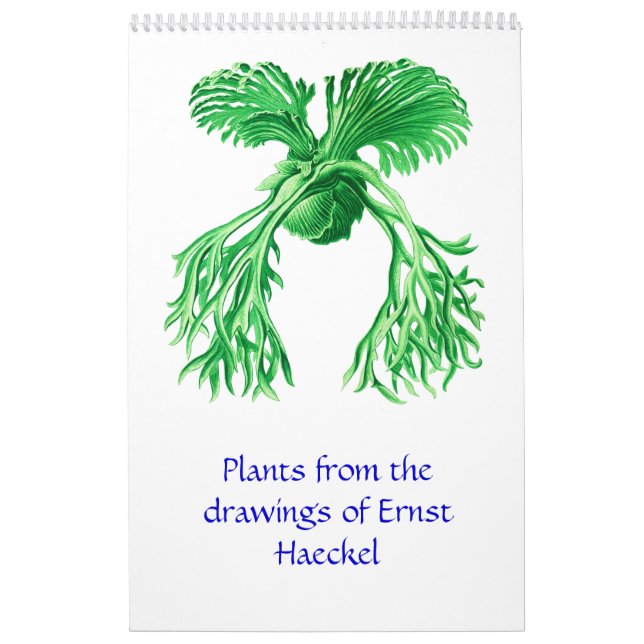 Un calendario 2012 de los dibujos de la planta (Tapa)