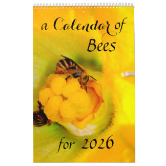 Un calendario de abejas para 2025 - 11 x 14¼ pulga