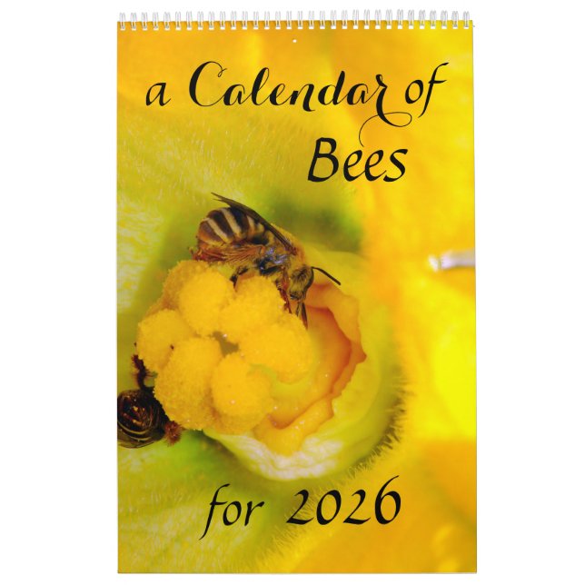 Un calendario de abejas para 2025 - 11 x 14¼ pulga (Tapa)