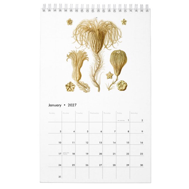 Un calendario de algunos dibujos de Ernst Haeckel (Jan 2027)