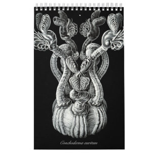 Un calendario de algunos dibujos de Ernst Haeckel