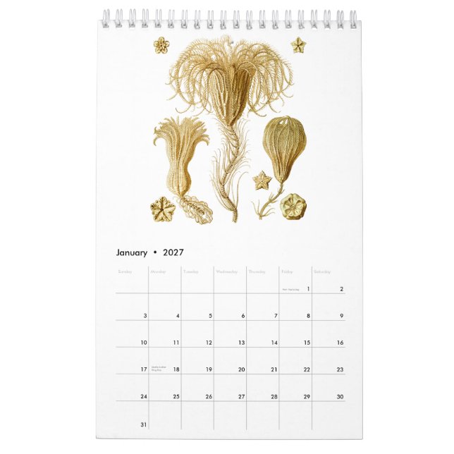 Un calendario de dibujos de Ernst Haeckel (Jan 2027)