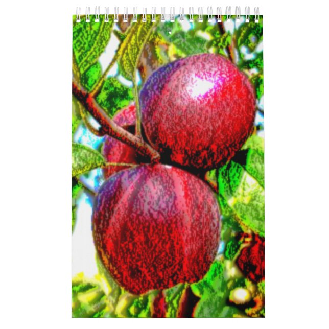 Un calendario de Foodie (Tapa)