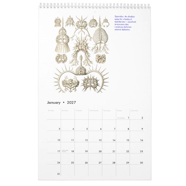Un calendario de los dibujos de Ernst Haeckel. (Jan 2027)