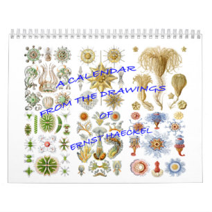 Un calendario de los dibujos de Ernst Haeckel