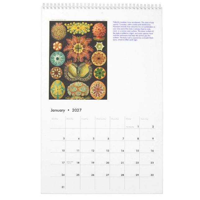 Un calendario de los dibujos de Ernst Haeckel. (Jan 2027)