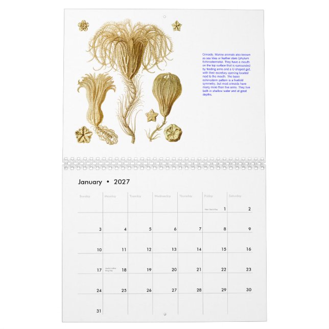 Un calendario de los dibujos de Ernst Haeckel. (Jan 2027)