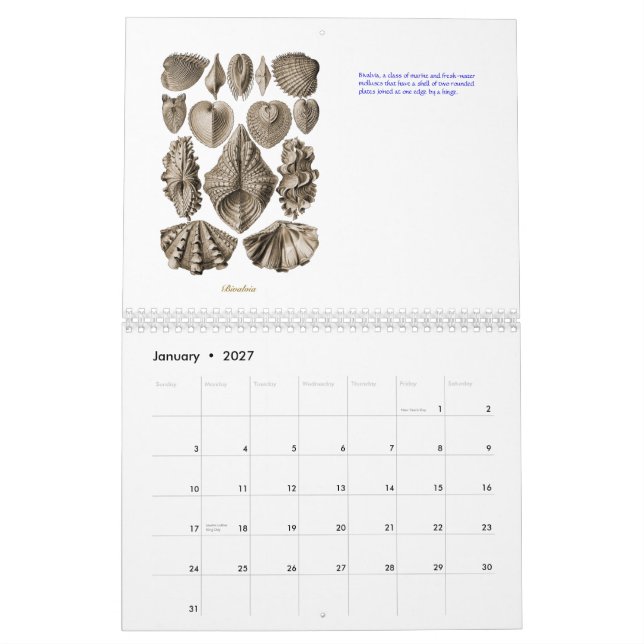 Un calendario de los dibujos de la cáscara de (Jan 2027)