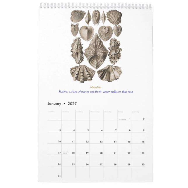 Un calendario de los dibujos de la cáscara de (Jan 2027)