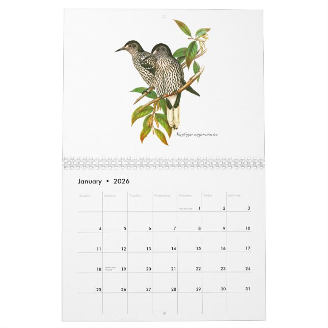 Un calendario de los painitings del pájaro de Juan (Jan 2026)
