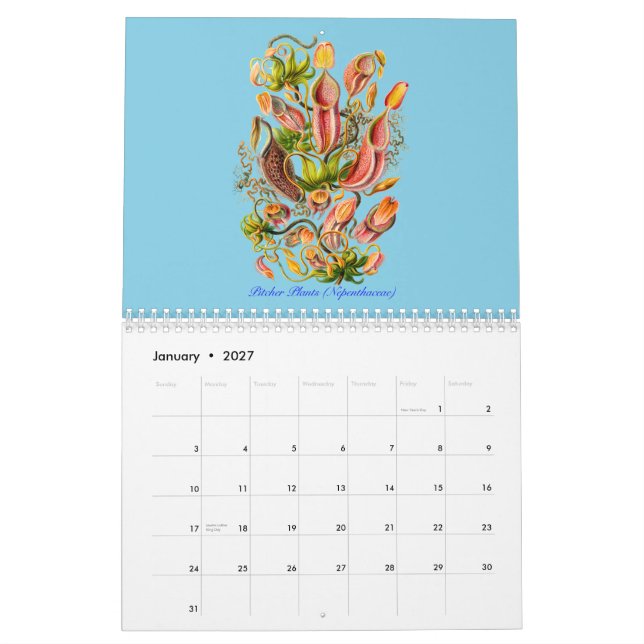 Un calendario de plantas de Ernst Haeckel (Jan 2027)