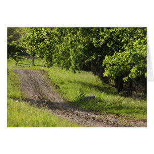 Un camino rural en Ipswich, Massachusetts.