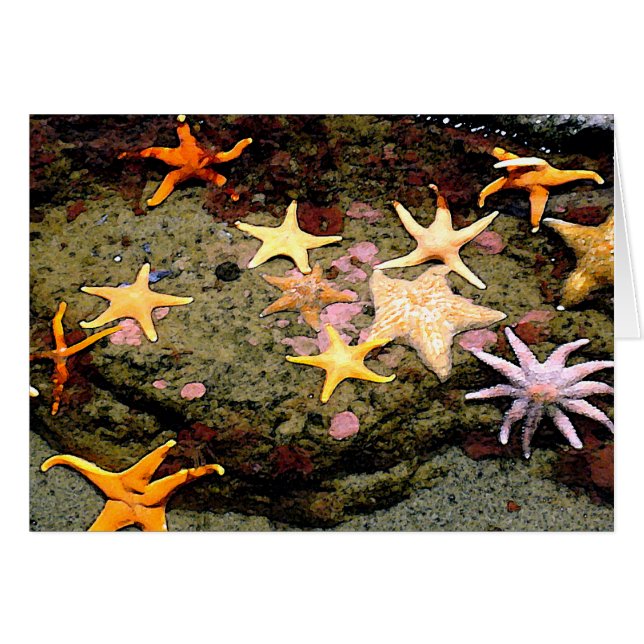 Un campo de estrellas (Anverso (Horizontal))