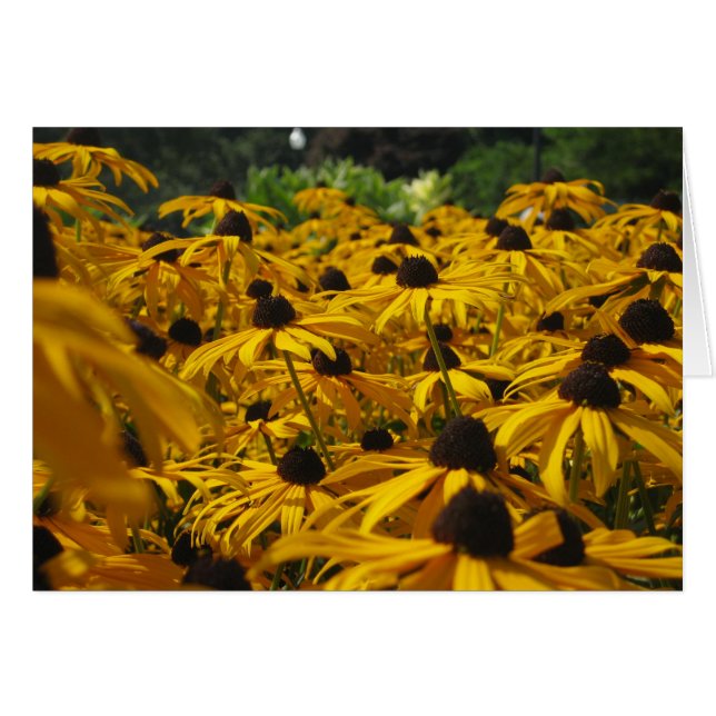 Un campo de Susies (Anverso (Horizontal))