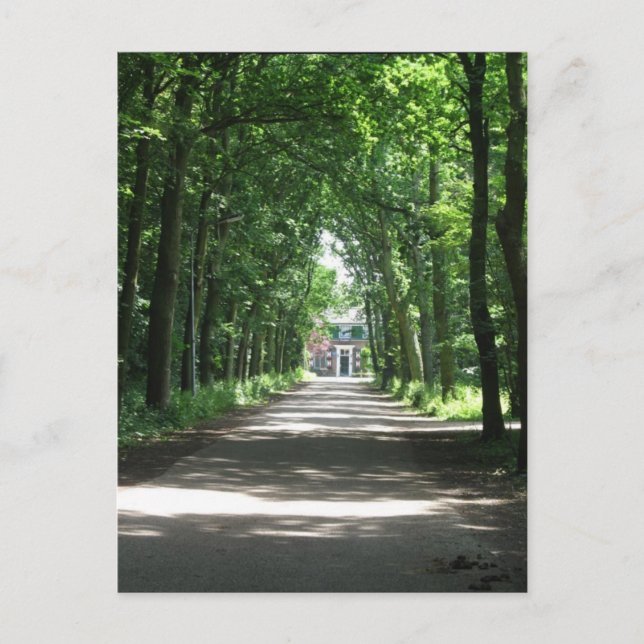 Un carril holandés en el bosque en una postal foto (Anverso)