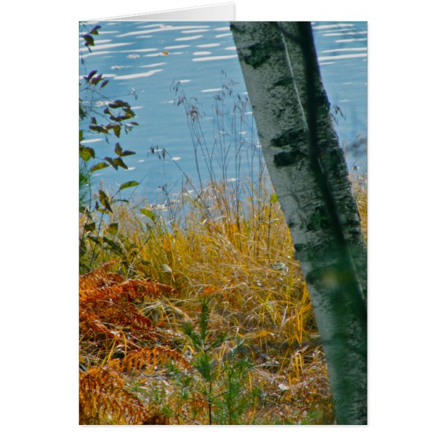 Un Cepillo Con Otoño (Frente)