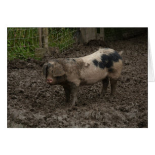 Un cerdo en una mugre