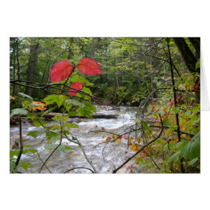 "Un chapoteo del rojo "