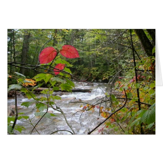 "Un chapoteo del rojo " (Anverso (Horizontal))