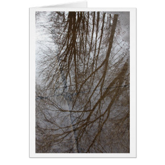 "Un charco del arte de la foto de los árboles" -