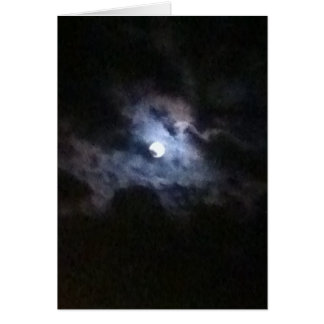 Un cisne en la Luna Llena