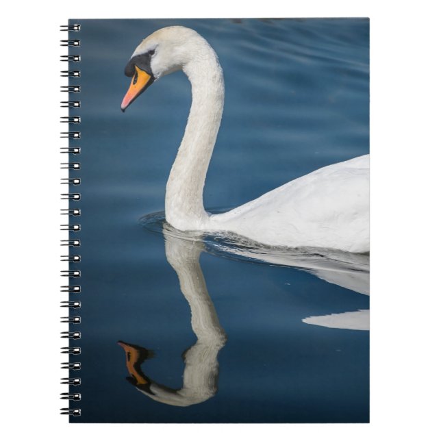 Un cisne y su cuaderno de la reflexión (Frente)