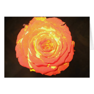 - Un color de rosa como no otro - amor sutil único