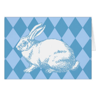 Un conejo blanco