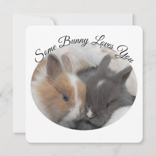 Un conejo te ama