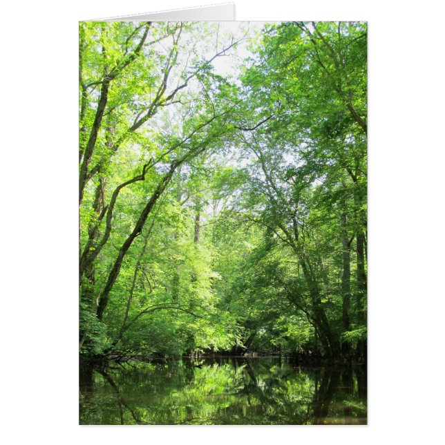 Un Creek tranquilo (Frente)