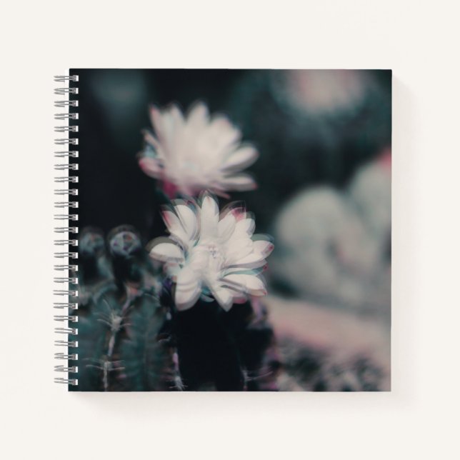 Un cuaderno (Anverso)