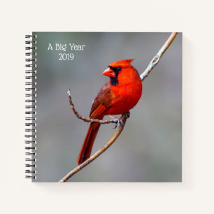 Un cuaderno de cardenales de gran año de nacimien
