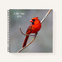 Un cuaderno de cardenales de gran año de nacimient
