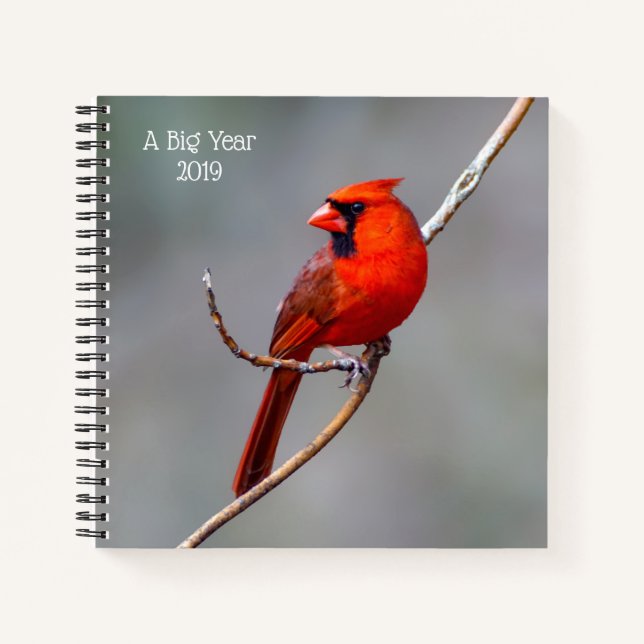 Un cuaderno de cardenales de gran año de nacimient (Anverso)