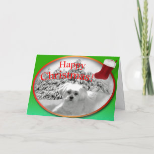 Un deseo del navidad