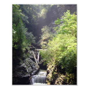 UN DÍA DE VERANO EN LA PIEL. FOTO Nº 2 2011