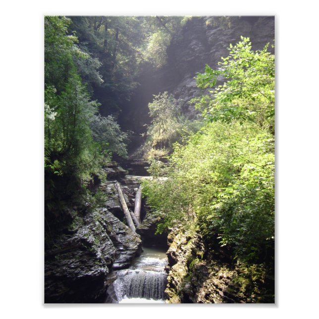 UN DÍA DE VERANO EN LA PIEL. FOTO Nº 2 2011 (Frente)