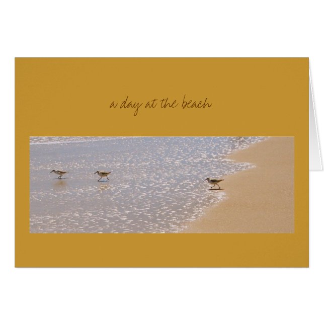 Un día en la playa (Anverso (Horizontal))