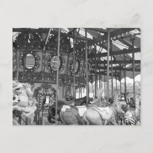 Un día en la postal #2 del zoológico