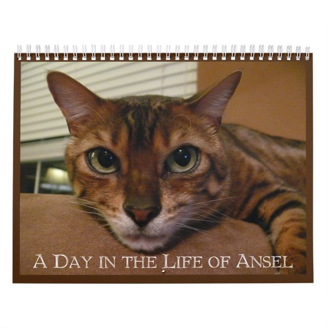 Un día en la vida del calendario de Ansel - 21 mes (Tapa)