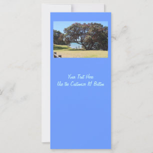 Un Dios de paz (1 Corintios 14:33)